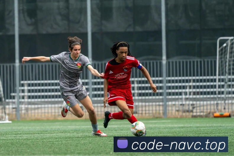 九游j9官网入口手机版平台生态图