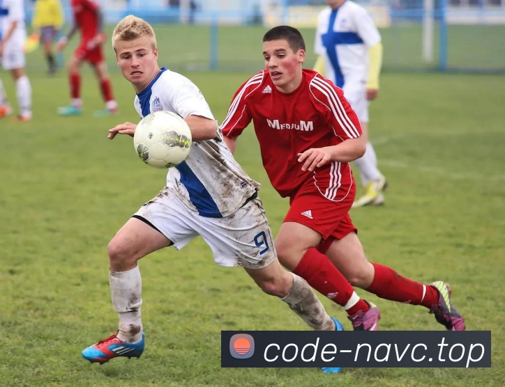 九游j9官网入口手机版全站App 九游j9官网入口手机版全站App